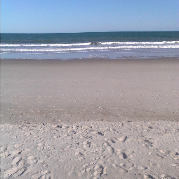 Meet your Posher, Allie - Picture 9 of 16